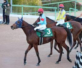 【中山金杯】「もう少しうまく…」４着に敗れたカネラフィーナの石川裕紀人騎手　連勝は４でストップ　