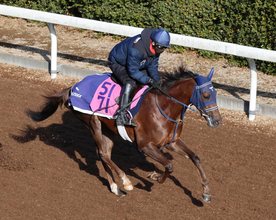 【フェアリーＳ・西山の特注馬】新馬戦でルメール騎手が絶賛したギリーズボールの末脚に期待