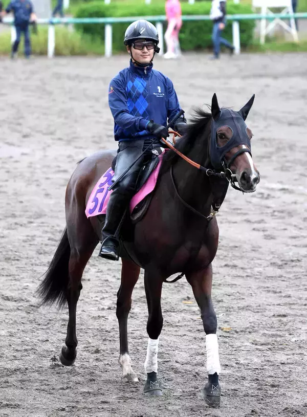 【注目馬動向】アイビーＳ２着のアートバーゼルがフラワーＣを目指して帰厩　左前脚骨折から復帰へ