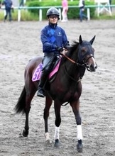 【注目馬動向】アイビーＳ２着のアートバーゼルがフラワーＣを目指して帰厩　左前脚骨折から復帰へ