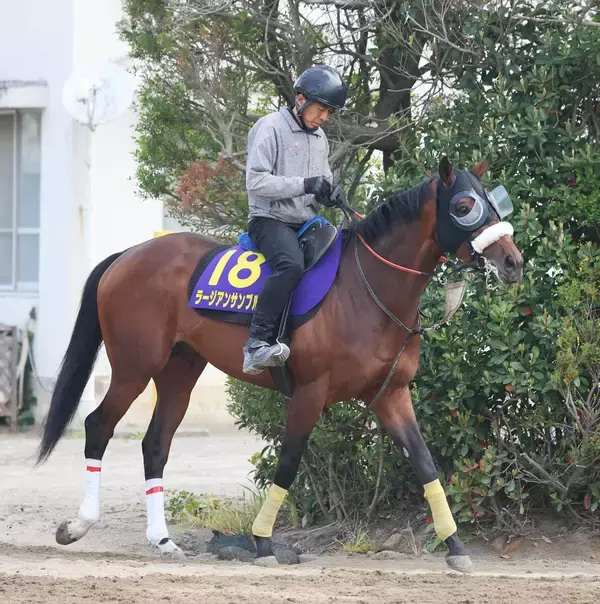 【皐月賞】ラージアンサンブルは５枠１０番　９０年以降勝利ない“鬼門”に武井調教師「本当はもう少し内が良かったけど…」