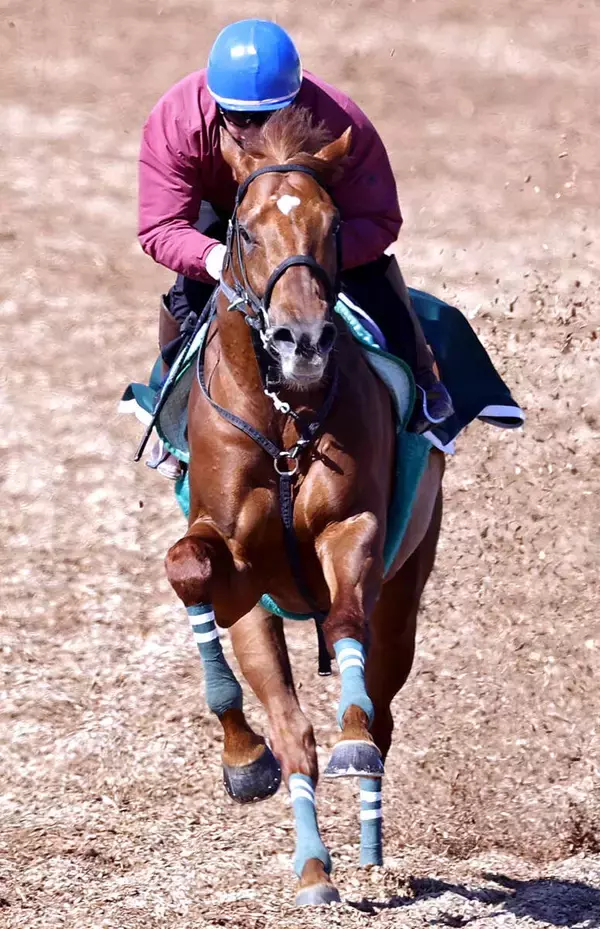 【青葉賞】厩舎開業２５年目で初のダービー出走へ「左回りの方がいい」と本間調教師も期待　ラストスマイルが虎視たんたん