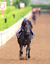 【日本ダービー】アスクエジンバラ陣営は仕上がりに自信「岩田さんにも今回初めて合格点を出してもらえました」