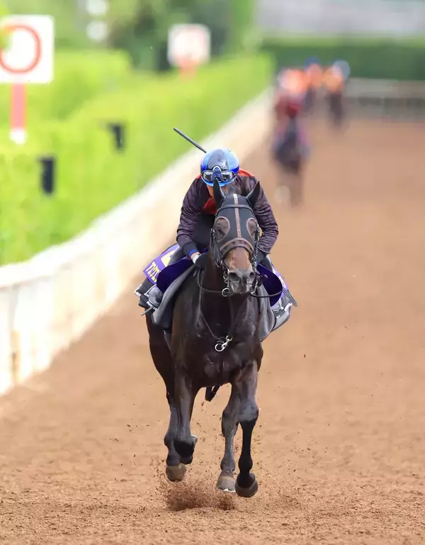 【日本ダービー】アスクエジンバラ陣営は仕上がりに自信「岩田さんにも今回初めて合格点を出してもらえました」