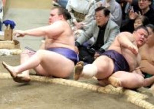 義ノ富士、安青錦に初黒星　物言いつく際どい内容も「悔しいけど仕方がない」