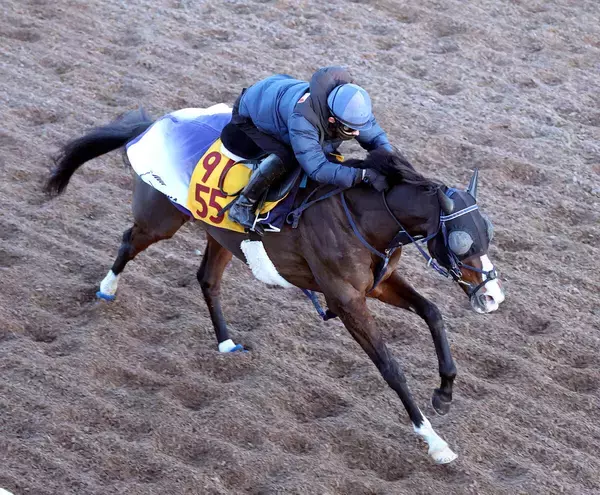 【小倉牝馬Ｓ】重賞２着６回のボンドガールは初の小倉で復活あるか　ハンデは５５・５キロに決定