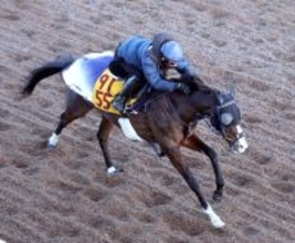 【小倉牝馬Ｓ】重賞２着６回のボンドガールは初の小倉で復活あるか　ハンデは５５・５キロに決定