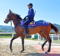 【皐月賞・金曜調整】武豊騎手と新コンビで挑むロードフィレールは好気配　陣営「気合が入ってましたね」