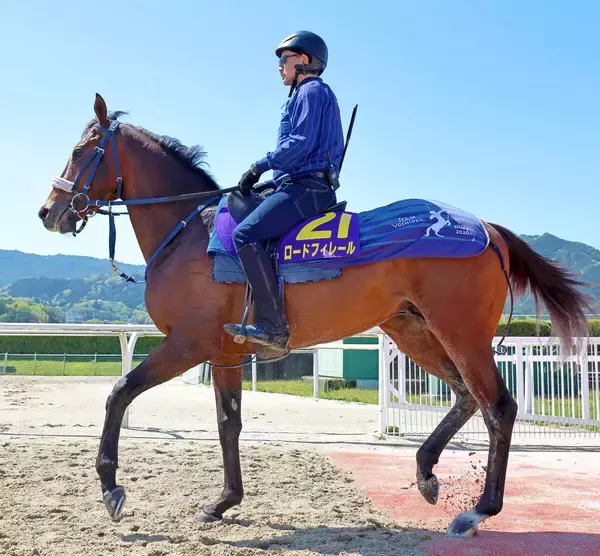 【皐月賞・金曜調整】武豊騎手と新コンビで挑むロードフィレールは好気配　陣営「気合が入ってましたね」