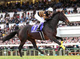 「千葉サラブレッドセールでキタサンブラック産駒の牡馬が最高額の２億２０００万円　窪田芳郎氏が落札」の画像1