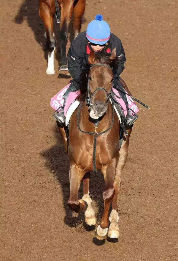 【関東オークス】１番人気のタマモフリージアは４着　２年ぶりＶならずも田口貫太騎手「まだまだやれるし、これからの馬」