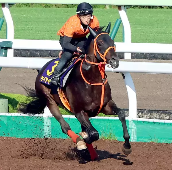 【函館記念】武豊騎手で臨むディープインパクト産駒ケイアイセナは元気いっぱい　陣営「良馬場でやりたいですね」