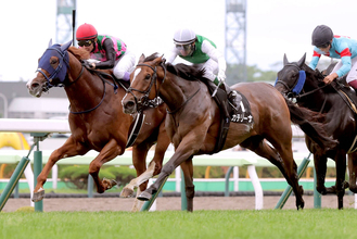 【函館１１Ｒ・五稜郭Ｓ】函館巧者のカテリーナがゴール前強襲　５０００勝王手の武豊騎手のダンツファイターをとらえる