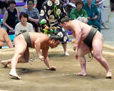 「幕下復帰の三田　“イケメン”対決制して連勝発進「強い。しっかり対策した」…隆志戦では幕下屈指の大きな拍手」の画像1