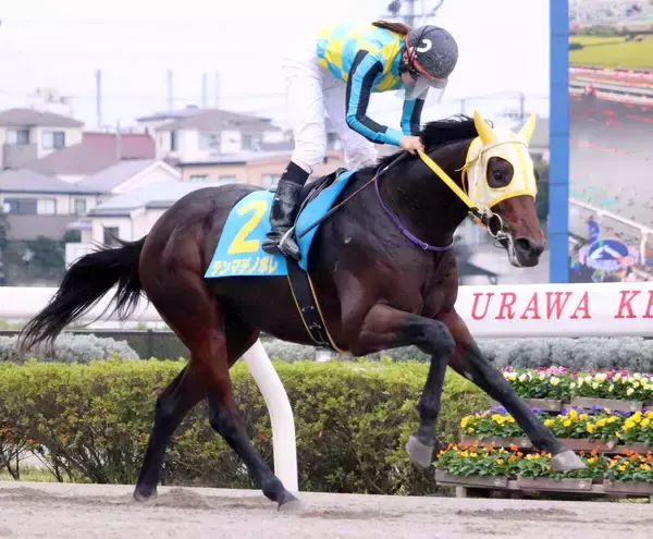 　【浦和３Ｒ・２歳新馬】３冠かかるロブチェンと父が同じテンマデノボレが圧巻の大差Ｖ　中島良美騎手「追ってからの反応がはやい」