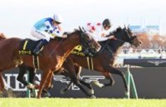 【東京１１Ｒ・キャピタルＳ】「瞬発力がすばらしい」レーン騎手が絶賛のミッキーゴージャス勝利　母は２冠牝馬