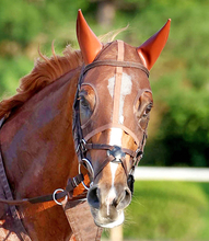 【注目馬動向】凱旋門賞５着のビザンチンドリームは有馬記念へ　ジャスティンパレス、エキサイトバイオも参戦