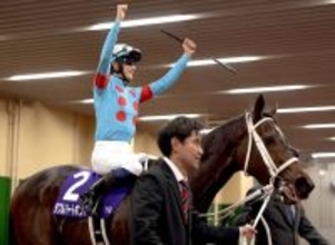 【チャンピオンズＣ】新女王の母は今年、繁殖牝馬を引退　第３の馬生をスタートさせていた