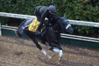 【阪神カップ】連覇を狙うナムラクレアは６枠１２番　武豊騎手とジューンブレアは５枠９番に　枠順決定