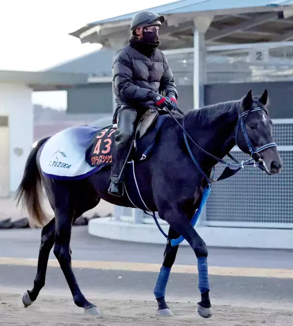 【共同通信杯】新潟２歳Ｓ覇者リアライズシリウスは朝日杯ＦＳ５着から逆襲へ　陣営「今回は攻めています」