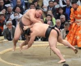 関脇・霧島が１敗守る　天敵・大の里休場も「考える暇ない」