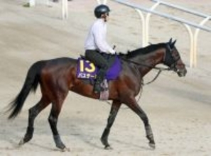 【Ｇ１トク捜リレー】栗東・理貴記者は報知杯弥生賞に続きバステールに注目　斉藤崇調教師「一歩ずつ良くなっている」