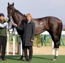 【注目馬動向】昨年の菊花賞６着ミラージュナイトは目黒記念を視野　アンタレスＳで２着のモックモックは三宮Ｓへ