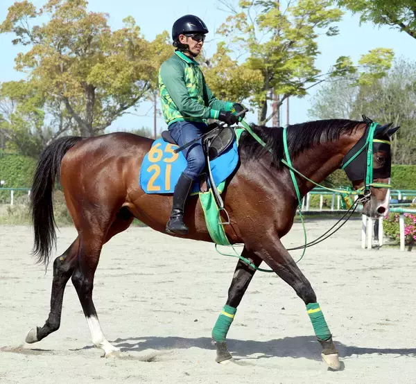 【京王杯ＳＣ】新戦法でアサカラキング１２度目の重賞挑戦で初タイトルへ　斎藤誠調教師「逃げにはこだわらない」