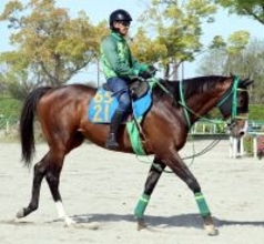 【京王杯ＳＣ】新戦法でアサカラキング１２度目の重賞挑戦で初タイトルへ　斎藤誠調教師「逃げにはこだわらない」