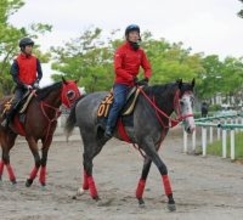 土曜京都競馬場の注目激走馬…京都１１Ｒユニコーンステークス・Ｇ３