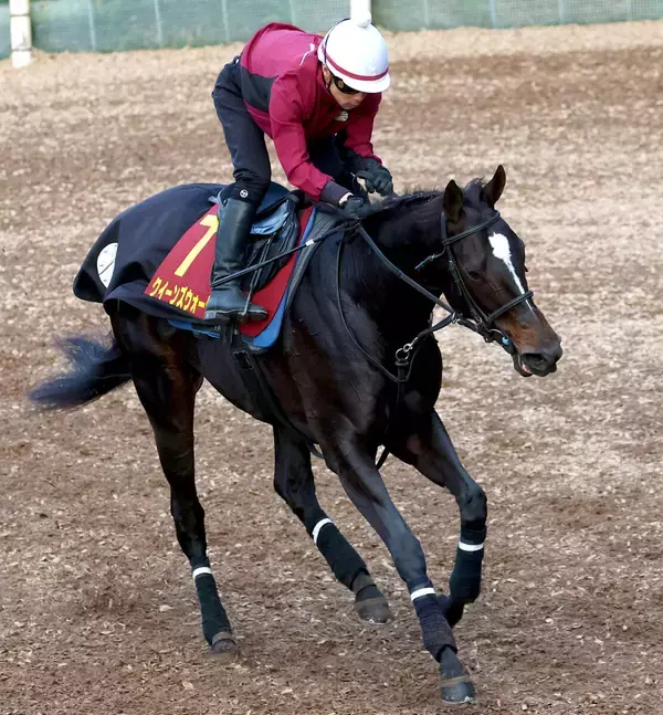 【ヴィクトリアＭ・金曜気配】４枠７番に決定したクイーンズウォークは軽めの調整　陣営「今年も好レースを期待します」