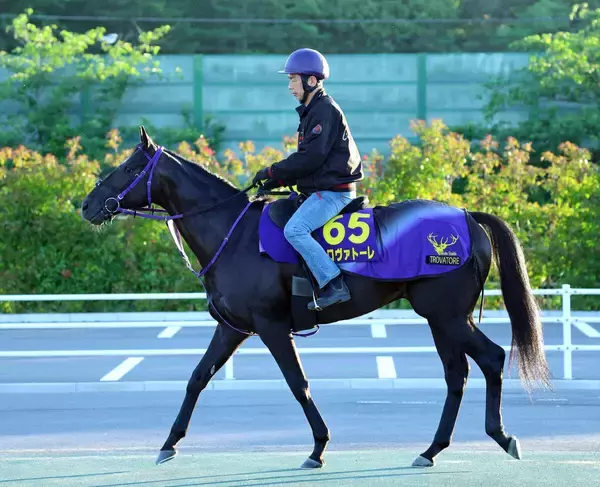 【安田記念】昨年１７着のトロヴァトーレが３連勝でＧ１制覇狙う　鹿戸調教師が挙げた１年前との違いとは？