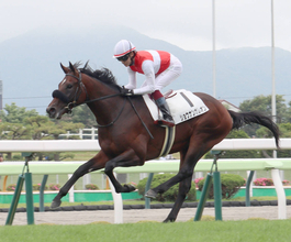 【函館５Ｒ・２歳新馬】フライトライン産駒のショウナンガレオンがレコードＶ　鮫島克駿騎手「スターになる素材はある」