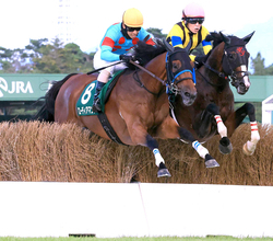 【新潟ジャンプＳ】ローディアマントが手に汗握る攻防を首差制す　伴啓太騎手「僕の馬が一番強いと思って乗った」