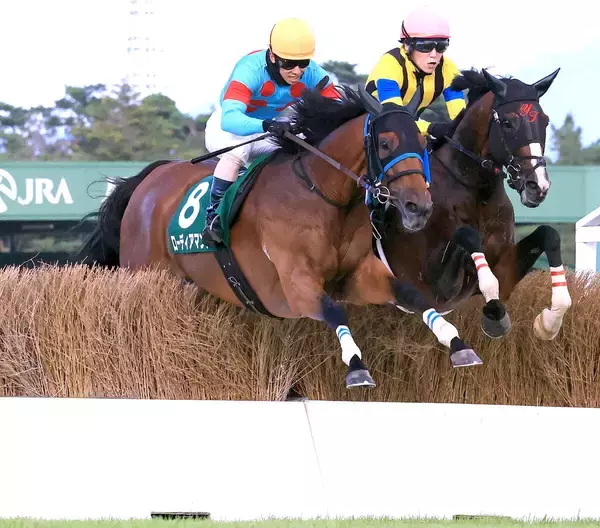 【新潟ジャンプＳ】ローディアマントが手に汗握る攻防を首差制す　伴啓太騎手「僕の馬が一番強いと思って乗った」