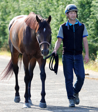 【注目馬動向】キタサンブラックの弟シュガークンはマイルの富士Ｓへ　清水久調教師「テンのスピードはありますから」