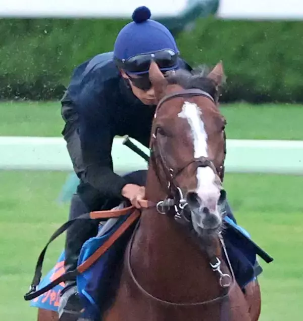 【注目馬動向】札幌記念４着のローシャムパークは中東のバーレーンインターナショナルＴに登録　４か国目、６度目の海外遠征へ