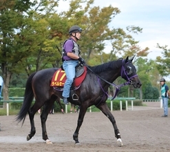 【秋華賞】馬トク外厩情報…ローズステークス勝ち馬に不安材料？　５年連続Ｖの好走パターンに注目