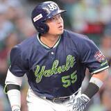 「【ヤクルト】村上宗隆、驚異の本塁打ペースは１４３試合換算５６発…１０・２打席に１本」の画像1