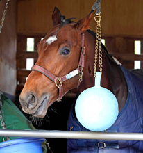【有馬記念】サンライズジパングはお気に入りのボール持参で中山へ　陣営「芝を走るならこのタイミングかなと」