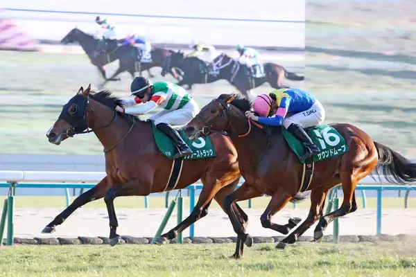 【シンザン記念】サンダーストラックは「この先も期待できます」独の若武者・ハマーハンセンが太鼓判