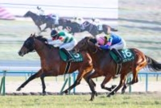 【シンザン記念】サンダーストラックは「この先も期待できます」独の若武者・ハマーハンセンが太鼓判