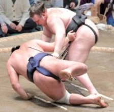 安青錦が２敗で単独首位を守る　霧島、熱海富士の２人が３敗で追う　大の里は９勝目