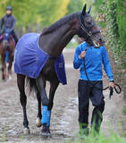 「先週の松籟Ｓを制した名牝アパパネの子アマキヒは新規開業する橋田宜長厩舎へ転厩　国枝調教師が定年引退のため」の画像1