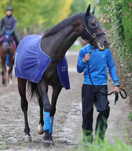 先週の松籟Ｓを制した名牝アパパネの子アマキヒは新規開業する橋田宜長厩舎へ転厩　国枝調教師が定年引退のため