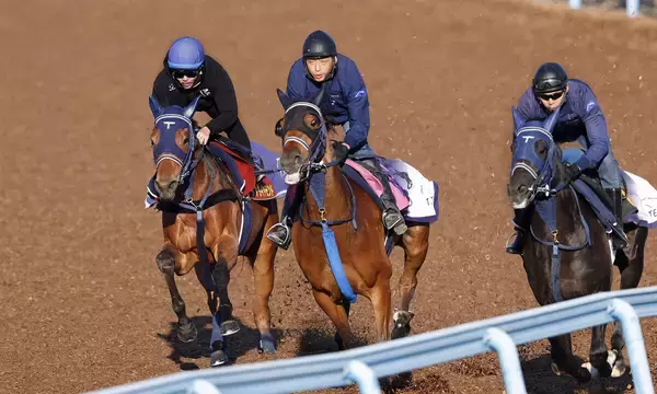 【桜花賞】ディアダイヤモンドはリバティアイランドと同じ２枠３番　陣営「枠は気にしていない」　金曜輸送の予定