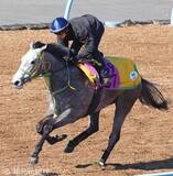 「【桜花賞】過去最多勝タイの４枠８番をゲット！　ロンギングセリーヌに竹内調教師「とてもいい枠です」」の画像1