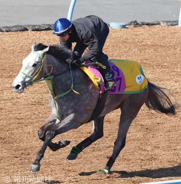 【桜花賞】過去最多勝タイの４枠８番をゲット！　ロンギングセリーヌに竹内調教師「とてもいい枠です」