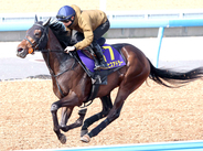 【皐月賞・坂本の特注馬】トライアルから上積み見込めるライヒスアドラー　舞台適性の高さは無視できない