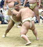 「関脇・高安がフィギュアの五輪金りくりゅうの引退は「うらやましい」意外な答えの真相は？」の画像1